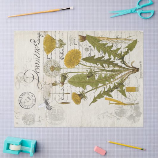 Papier Mousseline Fiche technique Dandelion Decoupage (Artisanat)