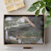 Papier Mousseline Finch assis sur la branche de pin (Cadeau)