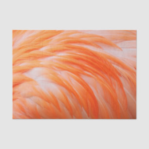 Papier Mousseline Flamant rose 2