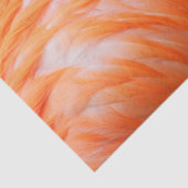 Papier Mousseline Flamant rose 2 (Détail)