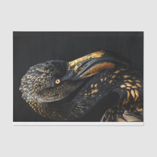 Papier Mousseline Flamant rose noir et or1 (Recto)