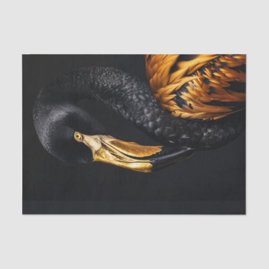 Papier Mousseline Flamant rose noir et or4 (Recto)
