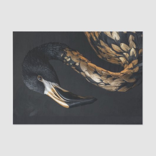 Papier Mousseline Flamant rose noir et or6 (Recto)