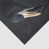 Papier Mousseline Flamant rose noir et or6 (Détail)