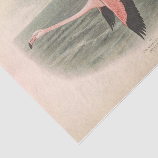 Papier Mousseline Flamant rose volant Ephémère Découpage (Détail)