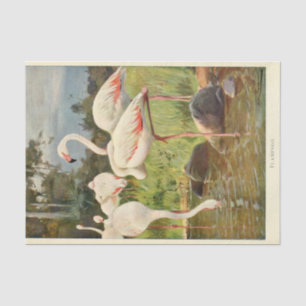 Papier Mousseline Flamants roses Ephémère Découpage