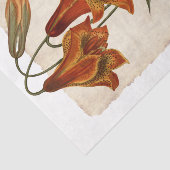 Papier Mousseline Fleur 43 Tiger Lily Découpage Papier de tissus (Détail)