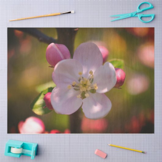 Papier Mousseline Fleur d'Apple (Artisanat)