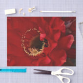Papier Mousseline Fleur de Cactus de champ (Artisanat)