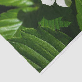 Papier Mousseline Fleur de fraises sauvages (Détail)