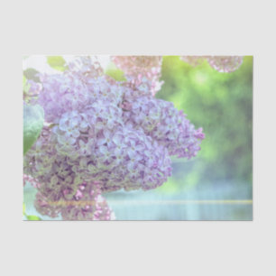 Papier Mousseline Fleur de lilas violet beau pays soleil du matin