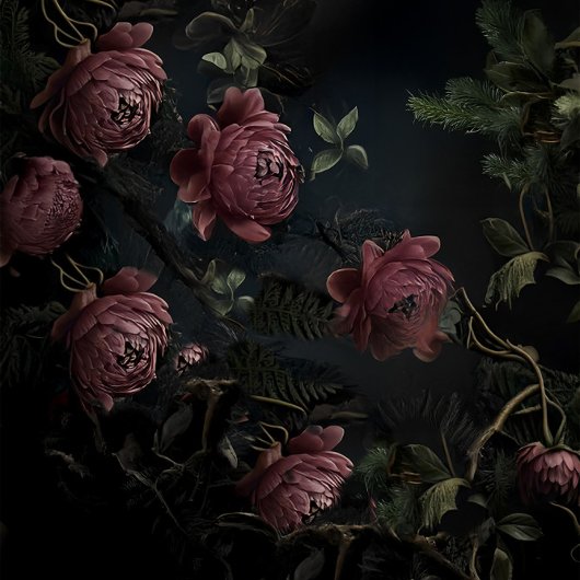 Papier Mousseline Fleur de l'Ombre