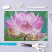 Papier Mousseline Fleur de lotus (Artisanat)