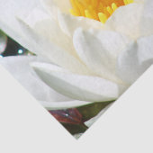 Papier Mousseline Fleur de Lotus (Détail)