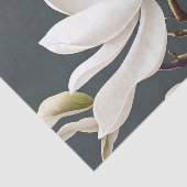 Papier Mousseline Fleur de Magnolia blanche élégante (Détail)
