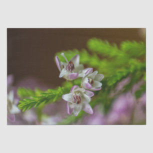 Papier Mousseline Fleur de printemps de Heather à feuillage persista
