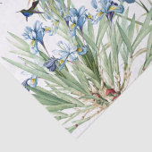 Papier Mousseline Fleur de Starflower d'iris d'oiseau de colibri (Détail)