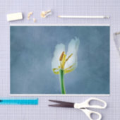 Papier Mousseline Fleur de tulipe blanche (Artisanat)