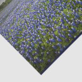 Papier Mousseline Fleur d'état bleue du Texas de champ de Bluebonnet (Détail)