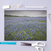 Papier Mousseline Fleur d'état bleue du Texas de champ de Bluebonnet (Artisanat)
