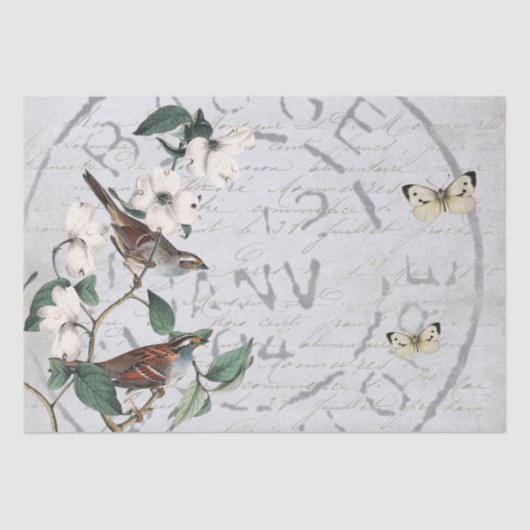 Papier Mousseline Fleur d'oiseau Postmark Papillon Français Script B (Recto)