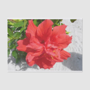 Papier Mousseline Fleur double hibiscus rouge