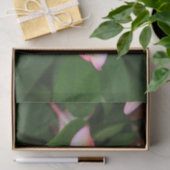 Papier Mousseline Fleur Frangipani (Cadeau)