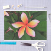 Papier Mousseline Fleur Frangipani (Artisanat)