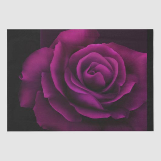 Papier Mousseline Fleur gothique de rose violet-rouge (Recto)