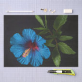 Papier Mousseline Fleur Hibiscus Bleu Sur Noir, Découpage (Artisanat)