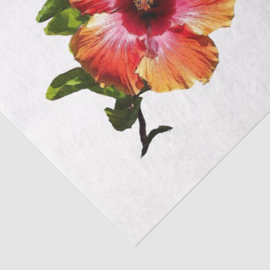 Papier Mousseline Fleur Hibiscus HAMbyWG - (Détail)
