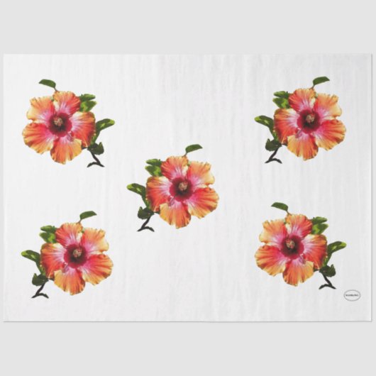 Papier Mousseline Fleur Hibiscus HAMbyWG - (Recto)