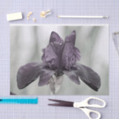 Papier Mousseline Fleur Iris violet foncé pour décopodge (Artisanat)