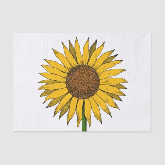 Papier Mousseline Fleur jaune de tournesol (Recto)