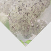 Papier Mousseline Fleur Lilac blanc doux Pays Botanique (Détail)