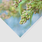 Papier Mousseline Fleur Lilac - Primus Inter Pares (Détail)