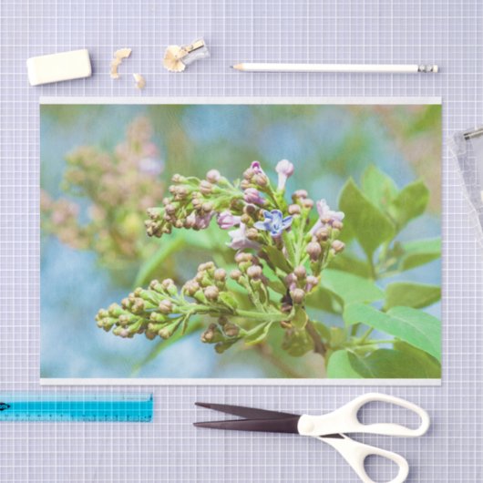 Papier Mousseline Fleur Lilac - Primus Inter Pares (Artisanat)