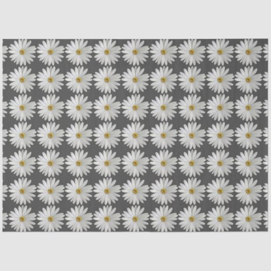 Papier Mousseline Fleur marguerite (Recto)