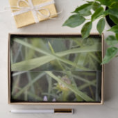 Papier Mousseline fleur marguerite sauvage (Cadeau)