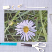 Papier Mousseline fleur marguerite sauvage (Artisanat)