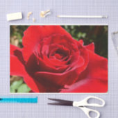 Papier Mousseline Fleur rose rouge vif Belle florale (Artisanat)