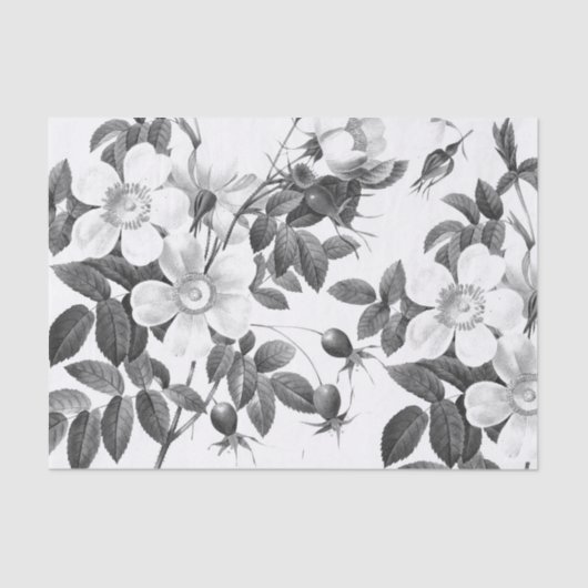 Papier Mousseline Fleur Rose sauvage noire et blanche (Recto)