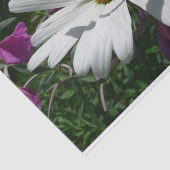 Papier Mousseline Fleur sauvage Daisy et Fireweed (Détail)