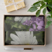 Papier Mousseline Fleur sauvage Daisy et Summer Lilac (Cadeau)