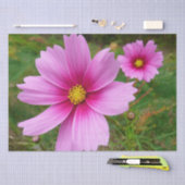 Papier Mousseline Fleur sauvage de fleurs Cosmos roses (Artisanat)