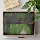 Papier Mousseline Fleur sauvage de printemps blanc Trillium Flower (Cadeau)