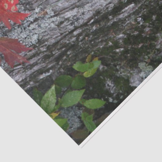 Papier Mousseline Fleur sauvage Joyeux anniversaire (Détail)