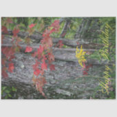 Papier Mousseline Fleur sauvage Joyeux anniversaire (Recto)