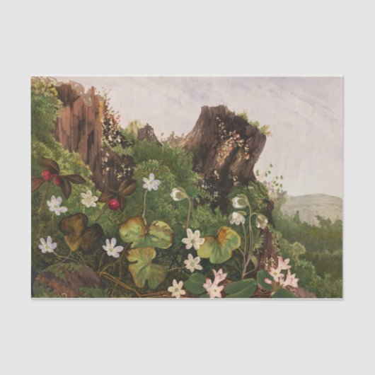 Papier Mousseline Fleur sauvage no 2 par Ellen Robbins (Recto)