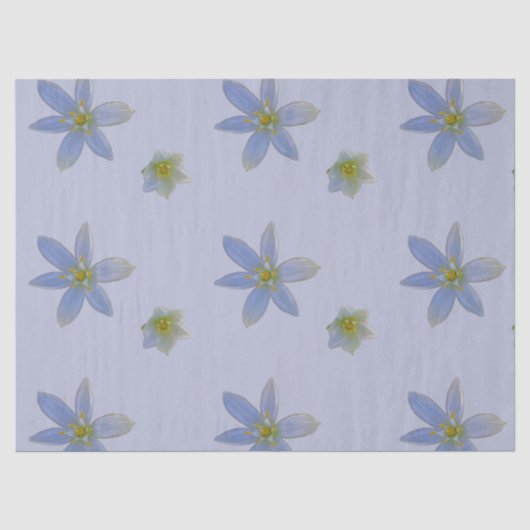 Papier Mousseline fleurir en blanc (Recto)